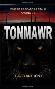 Tonmawr 