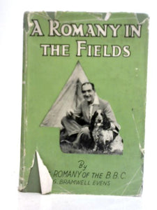 A Romay in the Fields 