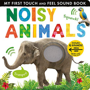 Noisy Animals 