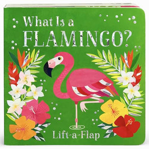 What Is a Flamingo? 