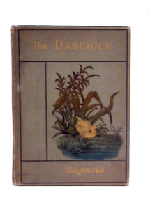 The Dabchick 