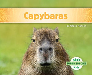 Capybaras 