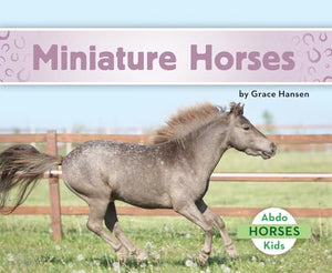 Miniature Horses 