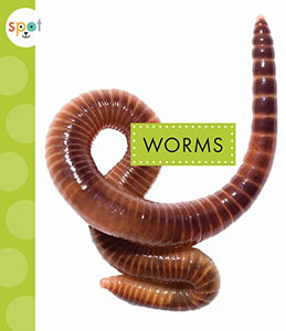 Worms 