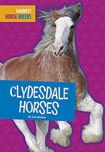 Clydesdale Horses 