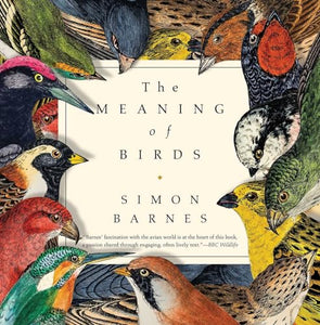 The Meaning of Birds 