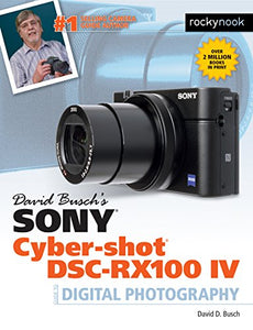 David Busch's Sony Cyber-shot DSC-RX100 IV 