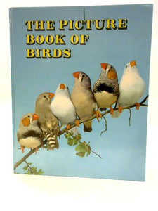 The Picture Book of Birds 