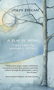 A Year of Moons 