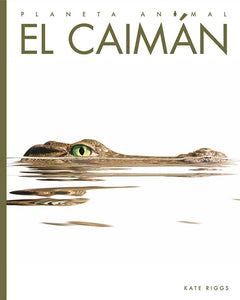 El Caiman 