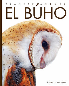 El B�ho 