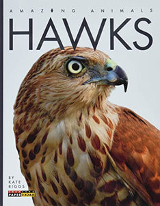 Hawks 