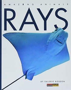 Rays 