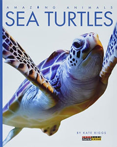 Sea Turtles 