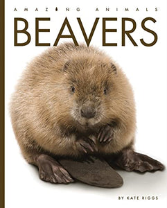 Beavers 