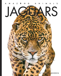 Jaguars 