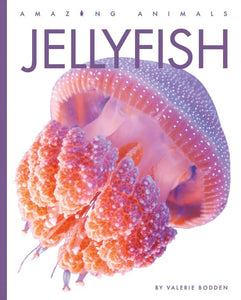 Jellyfish 