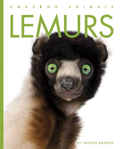 Lemurs 