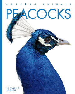 Peacocks 