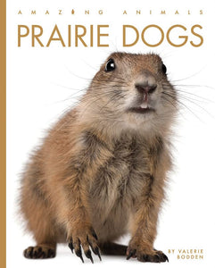 Prairie Dogs 