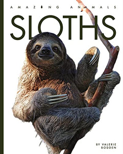 Sloths 