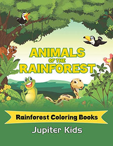 Animals Of The Rainforest 