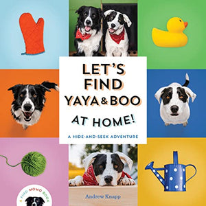 Let's Find Yaya and Boo at Home! 