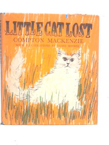 Little Cat Lost 