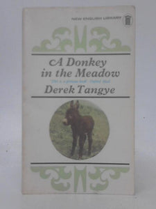 A Donkey In The Meadow 