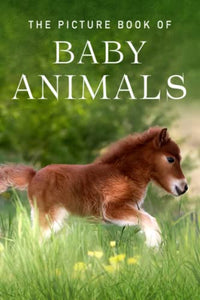 The Picture Book of Baby Animals 