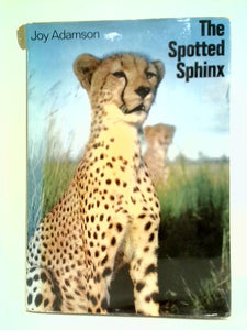 The Spotted Sphinx 