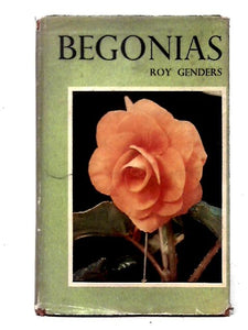 Begonias 