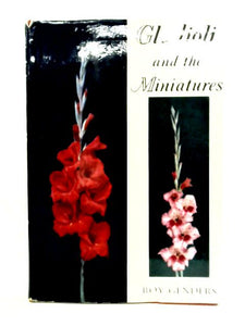 Gladioli and the Miniatures 