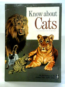 Know About Cats 