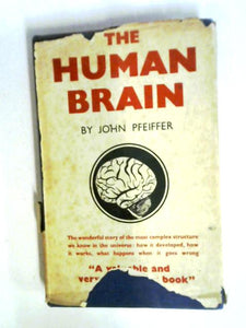 The Human Brain 