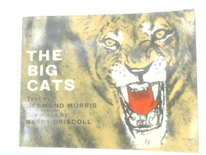 The Big Cats 