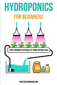 Hydroponics for Beginners 