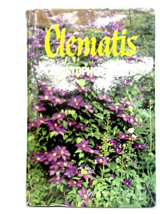 Clematis 