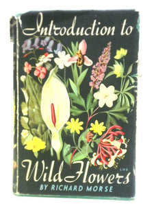 Introduction to Wild Flowers 