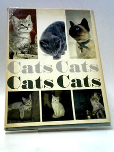 Cats Cats Cats Cats 