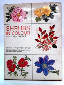 Shrubs In Colour 