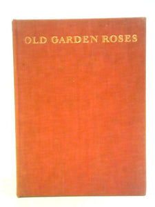 Old Garden Roses 