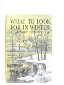 What to Look for in Winter 