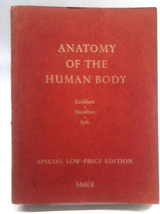 Anatomy of Human Body 