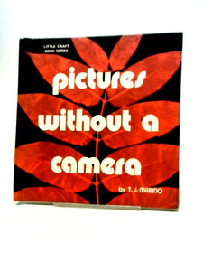 Pictures Without A Camera Little Craft Book Series 