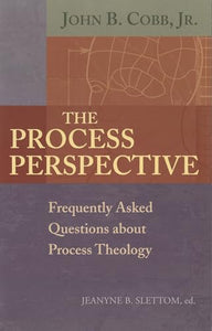 The Process Perspective 
