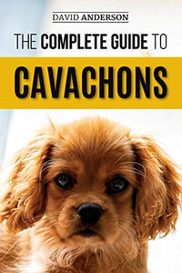 The Complete Guide to Cavachons 