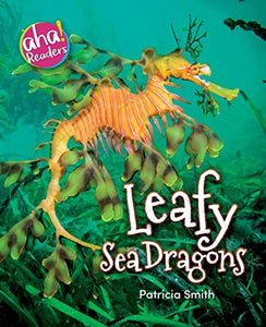 Leafy Sea Dragons 