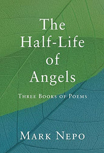 The Half-Life of Angels 