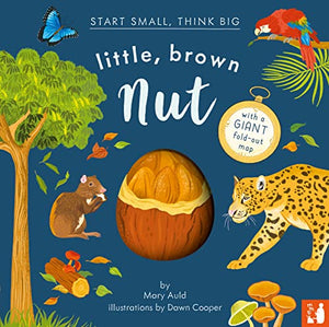 Little, Brown Nut 